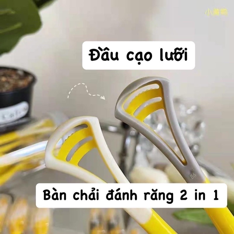 Hộp 8 cây bàn chải con vịt vàng  2 in 1 kèm dụng cụ cạo lưỡi ( phần đuôi)