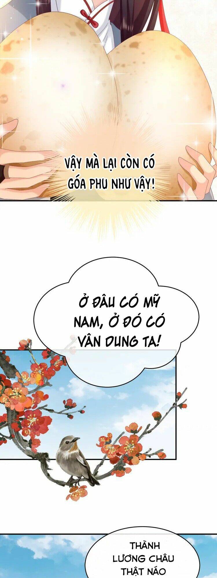 kiều phu có hỉ chapter 61 8