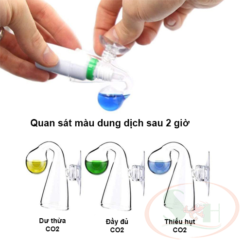 Dung dịch test co2 thay thế cho bộ theo dõi co2 drop checker