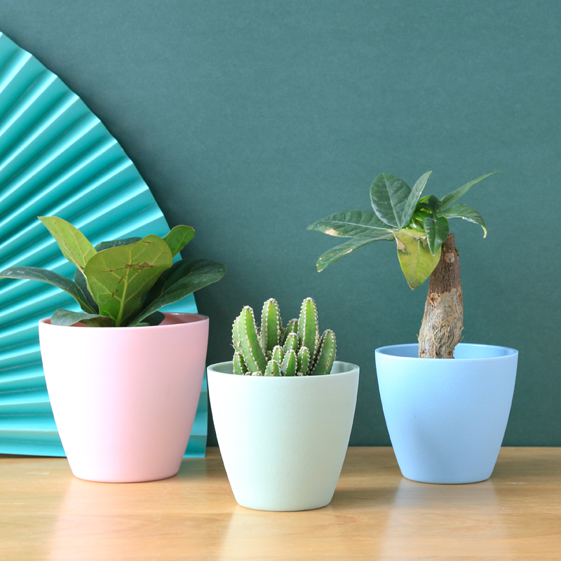 Chậu trồng cây mini MONROVIA cho sen đá, cây cảnh, hoa nhí, xương rồng, bonsai để bàn, ban công