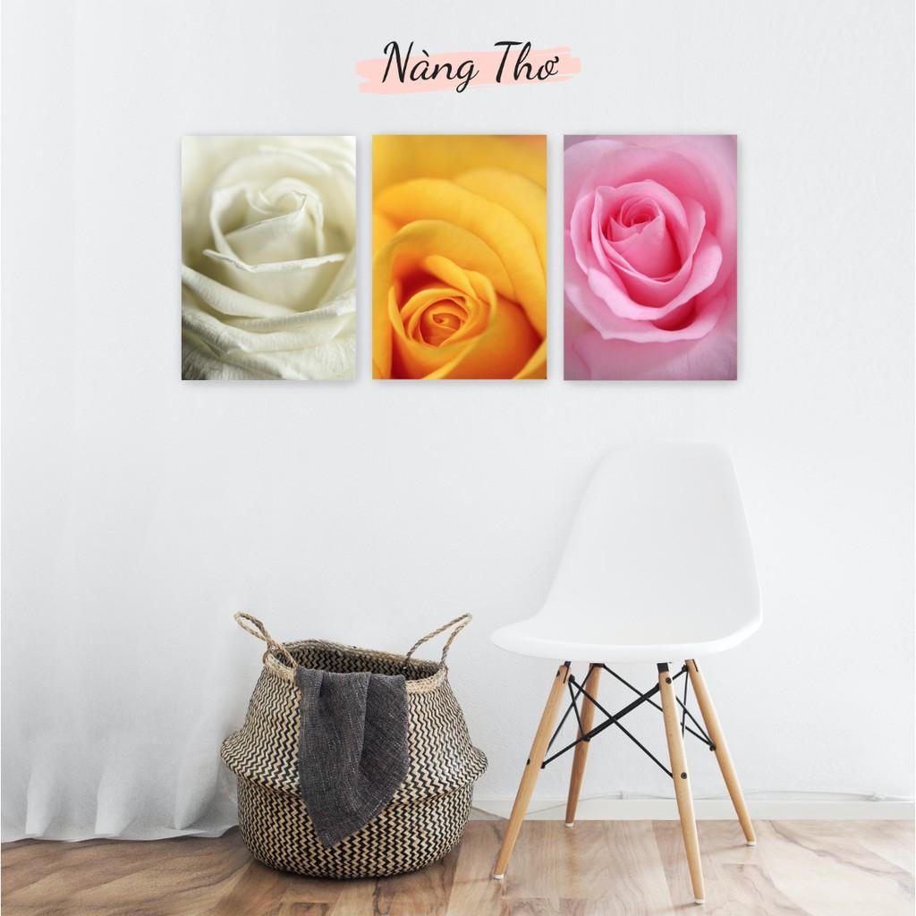 BỘ 3 TRANH HOA HỒNG DÁN TƯỜNG