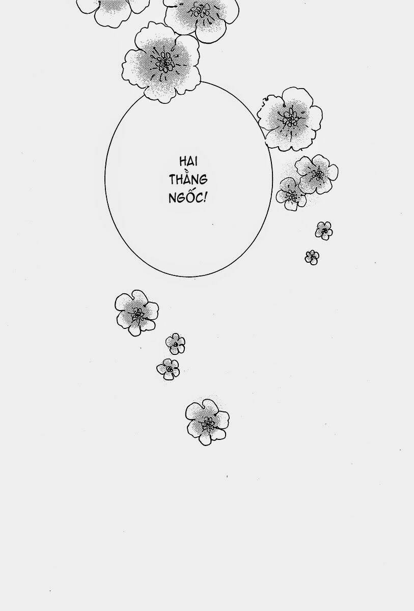 aph doujinshi - diamante chapter 1 24