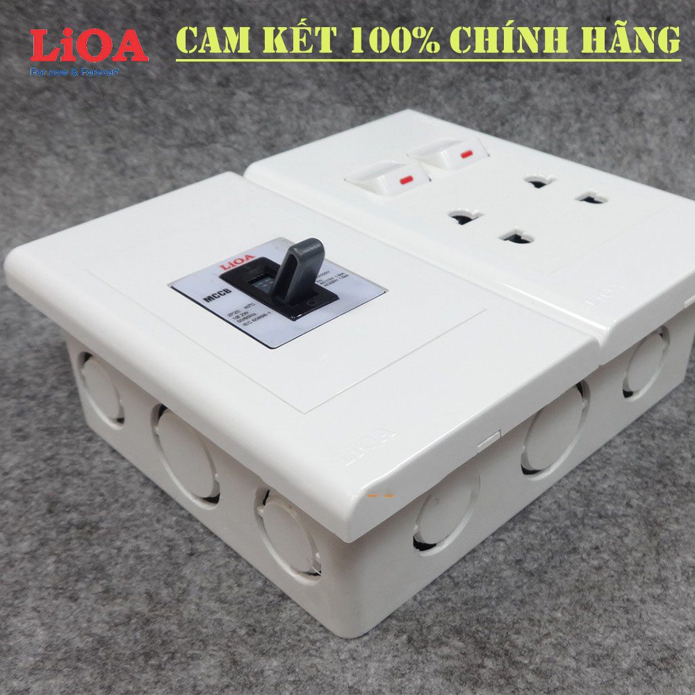 Combo ổ cắm điện đôi 2 chấu 16A (3520W) + 2 công tắc điện LiOA có cầu dao chống quá tải 15A - Âm tường