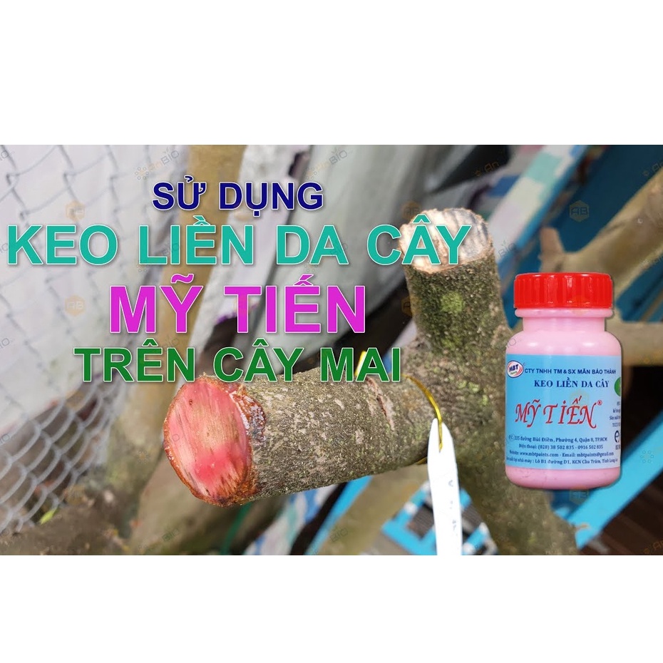 Keo Liền Sẹo Mỹ Tiến 100g