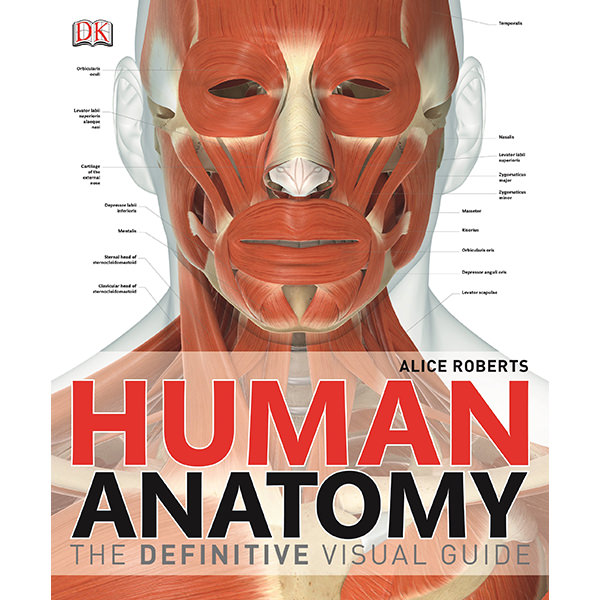 Human Anatomy