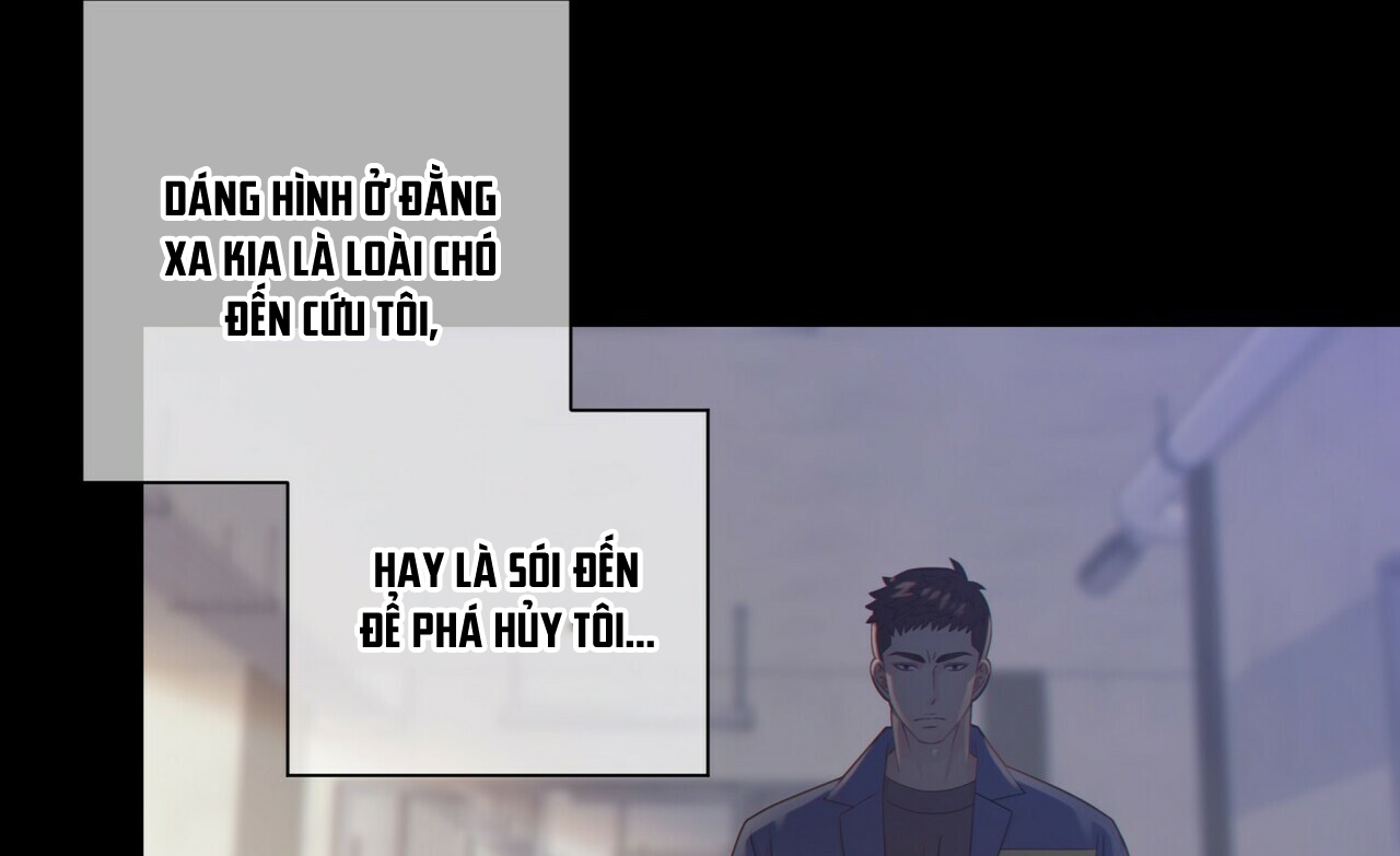 thời gian giữa sói và chó chapter 61 117