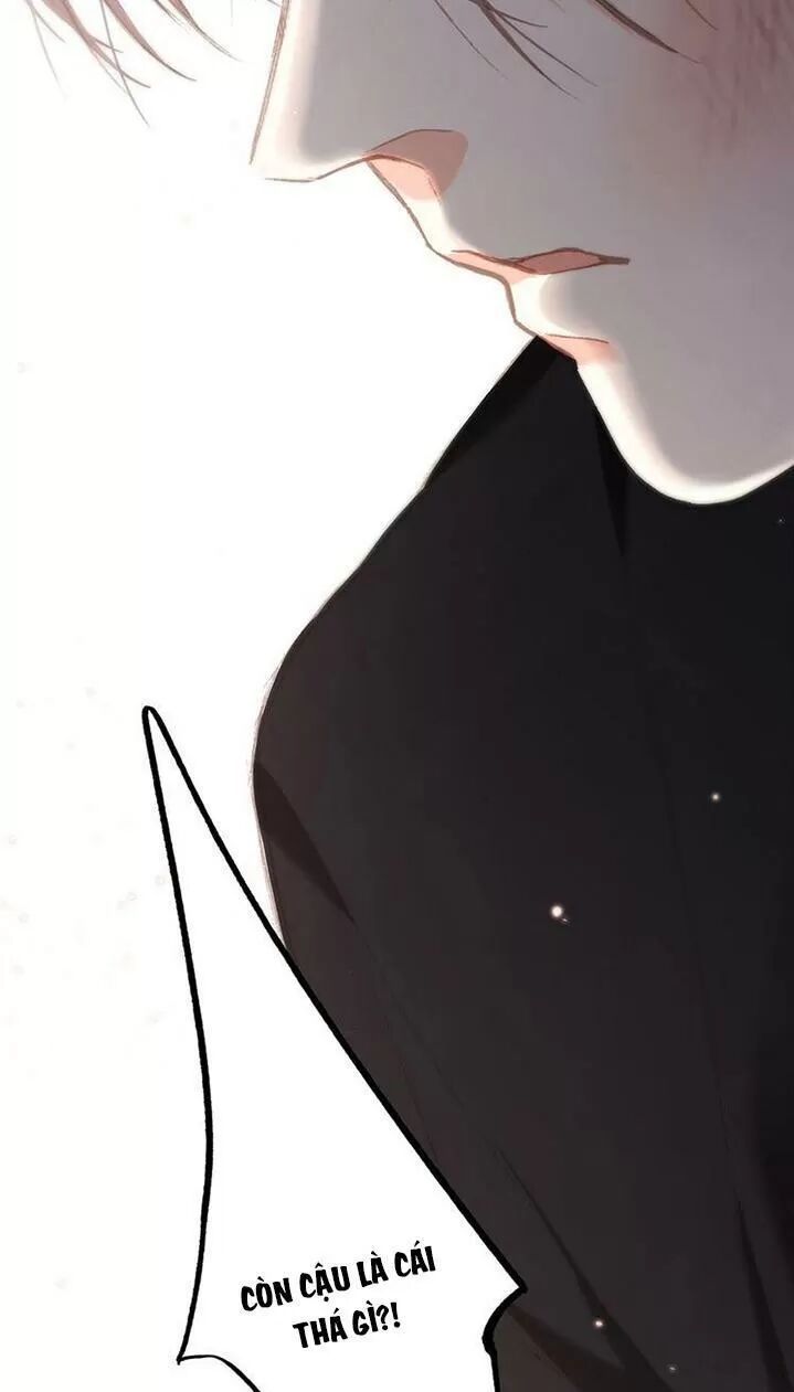 con tim rung động 2 chapter 116 85