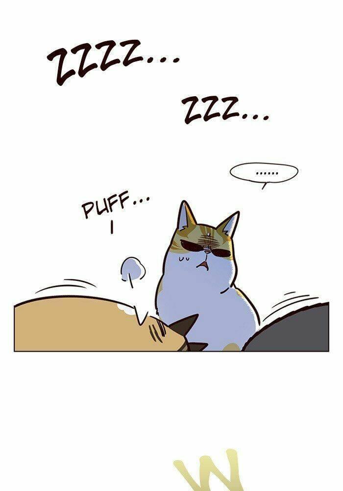 biến thân thành mèo chapter 11 39