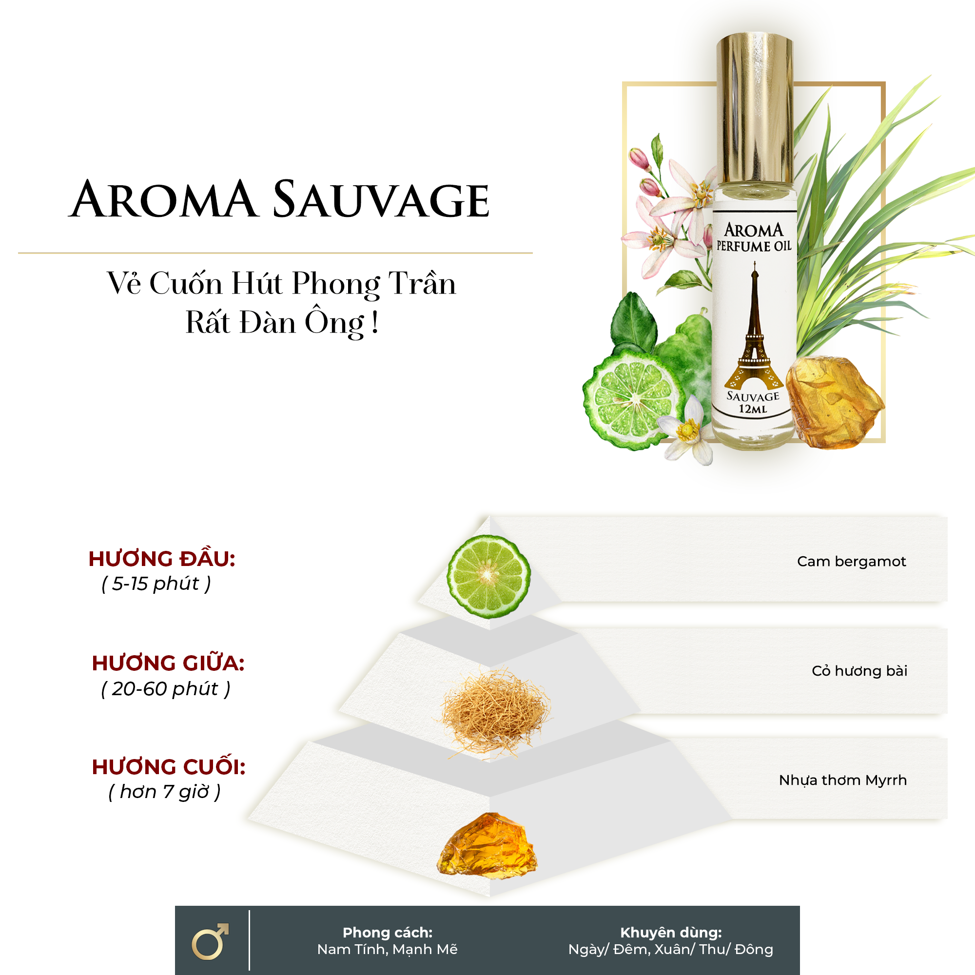 Aroma Sauvage – Tinh Dầu Nước Hoa Pháp Dạng Lăn 12ml