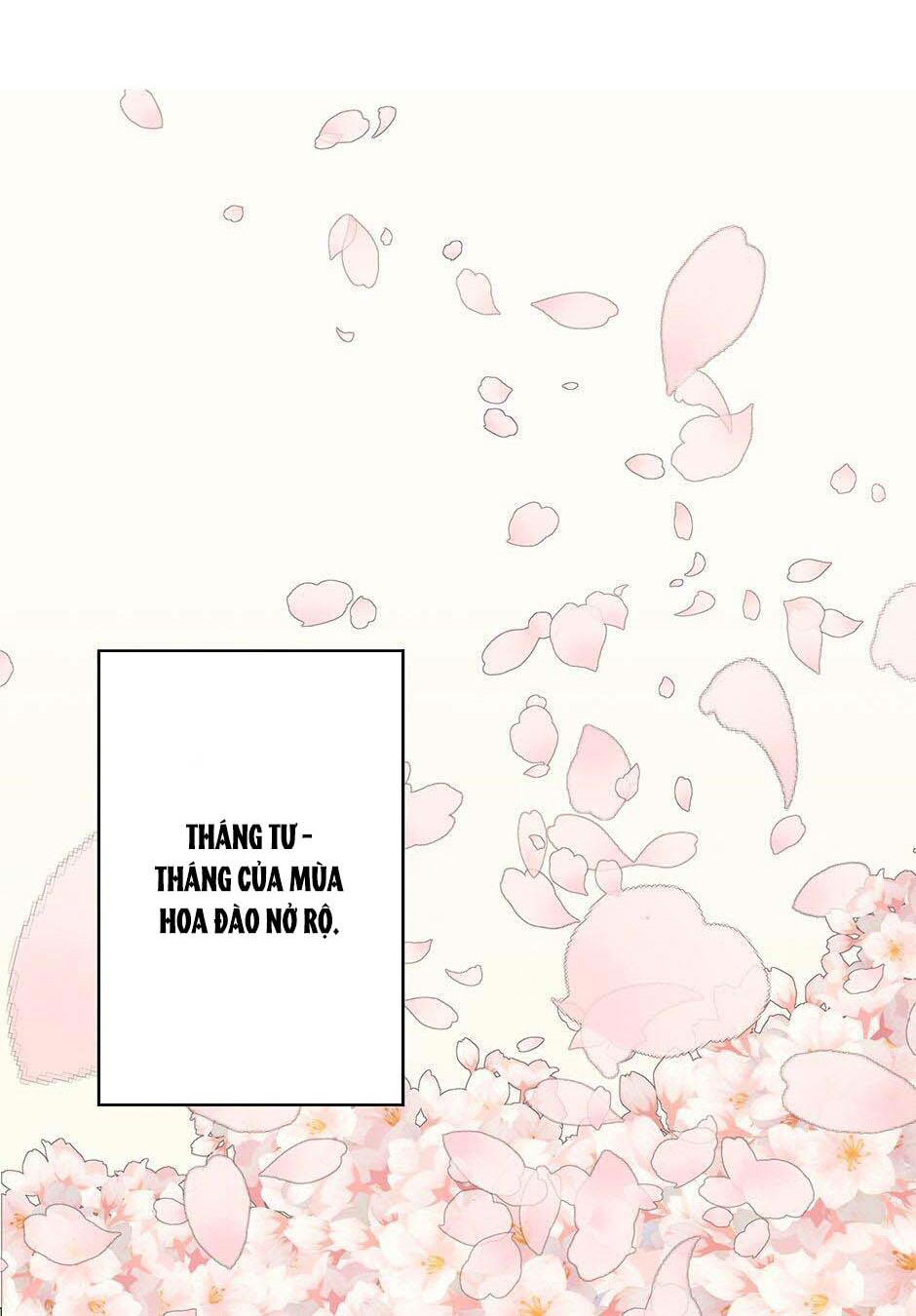 kế hoạch cưới chồng chapter 1 12