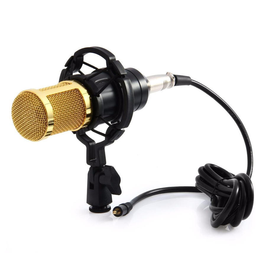 Mic Thu Âm Bm 800 - Hàng Nhập Khẩu