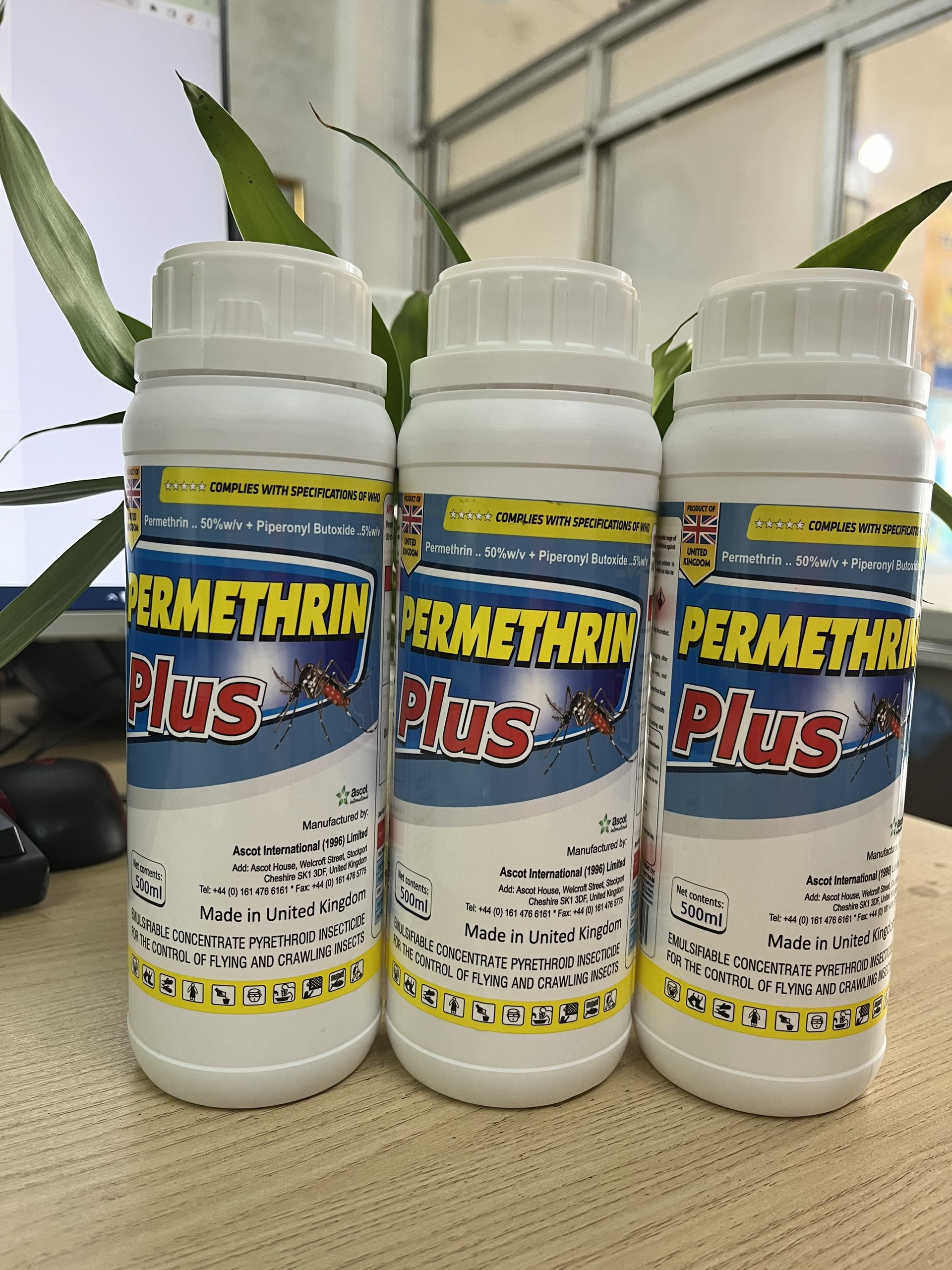 Thuốc diệt muỗi nhập khẩu nguyên chai Anh Quốc Permethrin Plus 50EC chai 500 ml