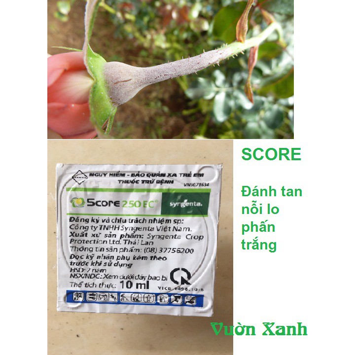 Thuốc đặc trị phấn trắng, đốm lá trên hoa cay cảnh SCORE 250EC 10ml