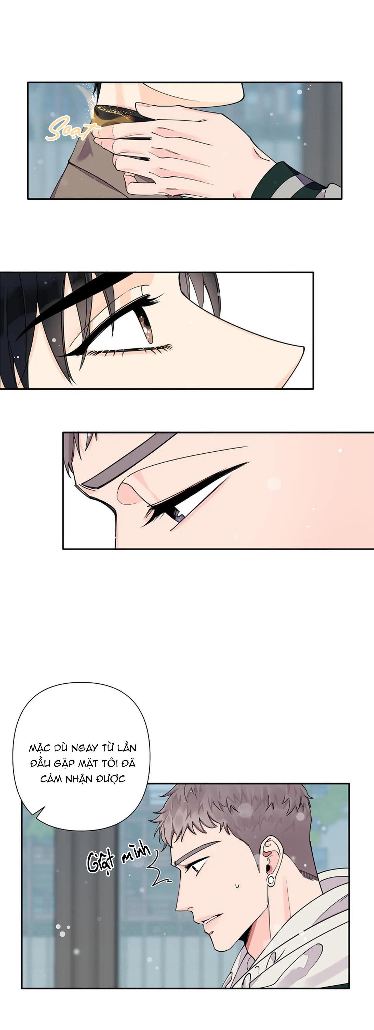 đêm dịu dàng chapter 7 15