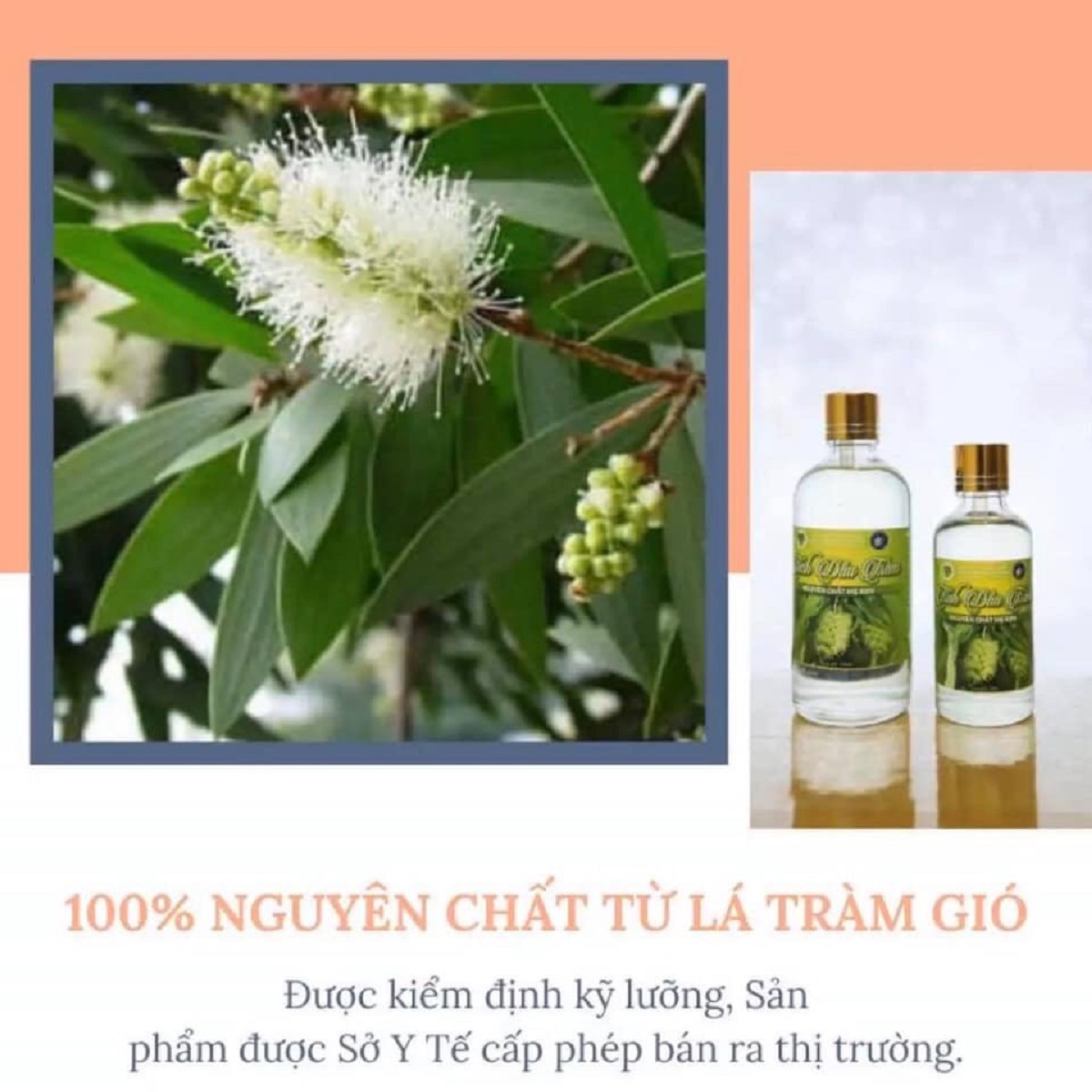 Tinh dầu tràm nguyên chất MẸ KEN