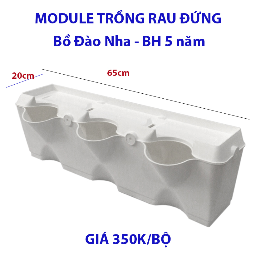 CHẬU MODULE TRỒNG RAU BAN CÔNG NHẬP KHẨU BỒ ĐÀO NHA