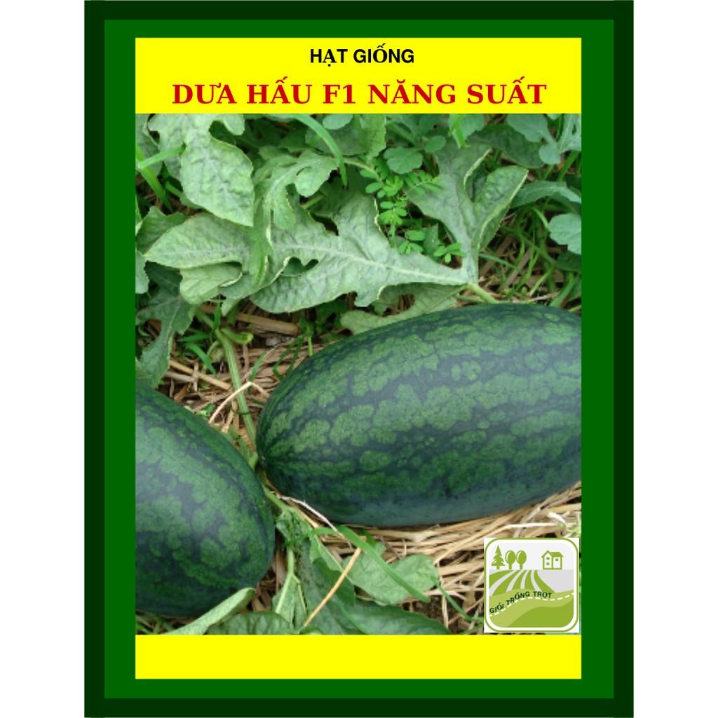 Hạt Giống Dưa Hấu F1 Năng Suất Cao Gói 2gram