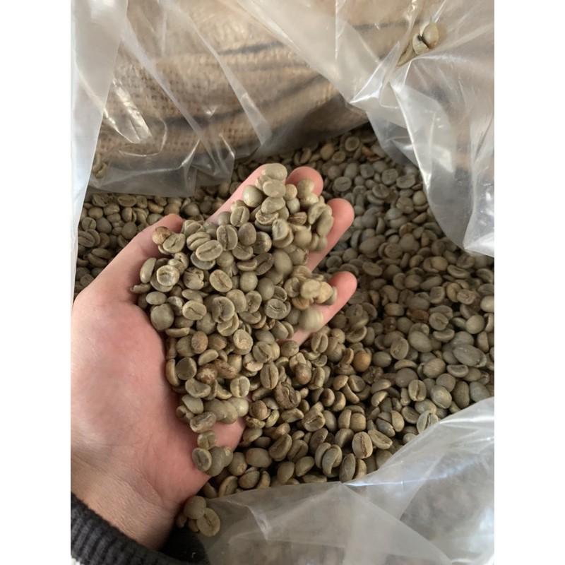 01kg_Nhân Cà phê sống ROBUSTA S18 CHỌN LỌC