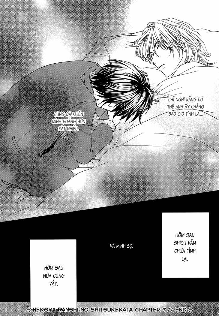 nekoka danshi no shitsukekata chapter 7 42