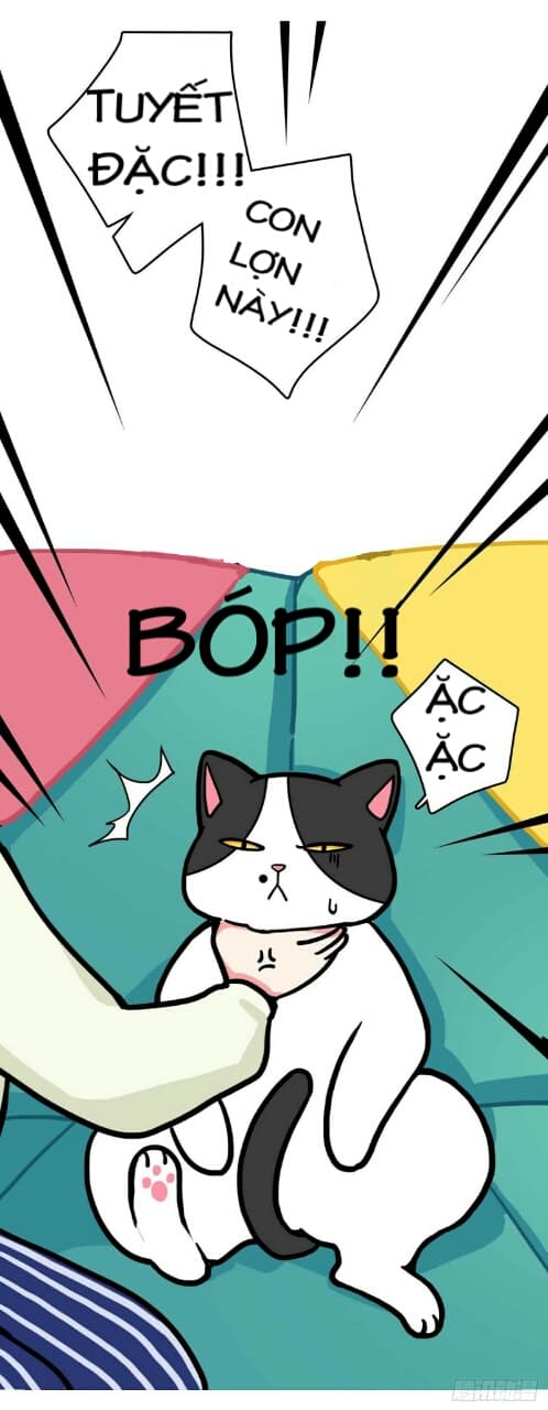 hello dư tuyết đặc chapter 1 8