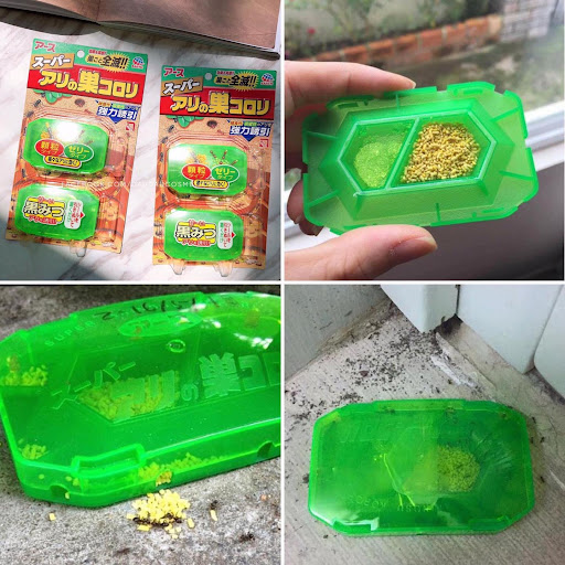 Thuốc diệt kiến Nhật bản