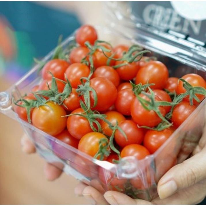50 Hộp P500D Đựng Nữa Kg Trái Cây - Cà Chua Bi - Dâu Tây - Nho - Cherry