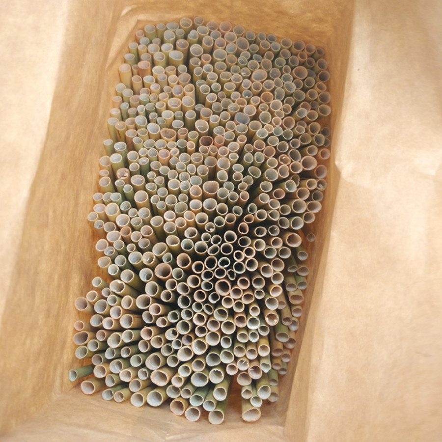 Ống Hút Cỏ Bàng - Túi 500 Ống ( Grass Straw )