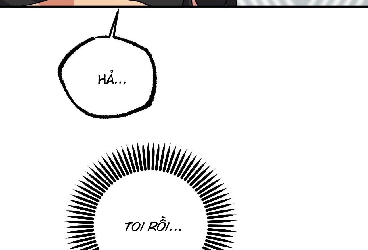 những chú thỏ của hapypy chapter 61 11