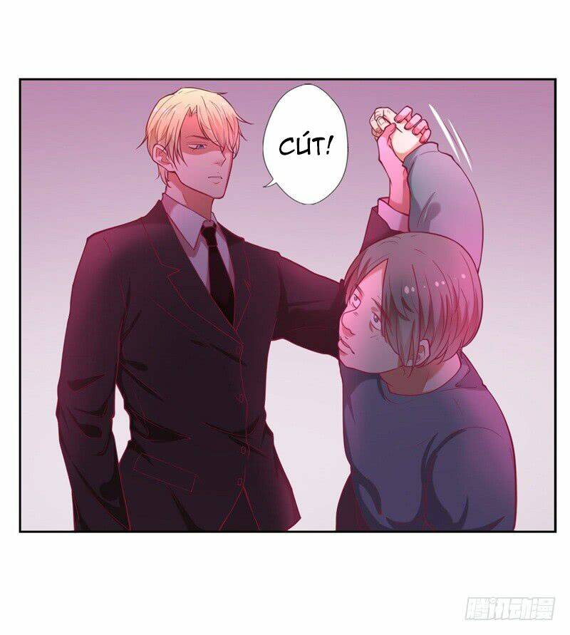 ngạo kiều tổng tài sủng điềm thê chapter 10 27