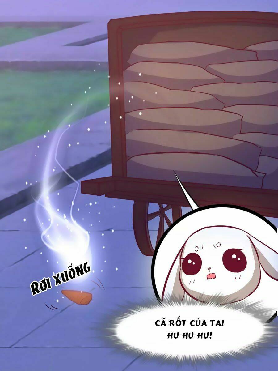 thỏ yêu tiểu vương phi chapter 112 40