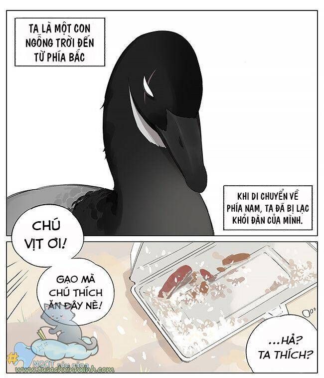 chim sẻ gọi ngỗng trời chapter 4 2