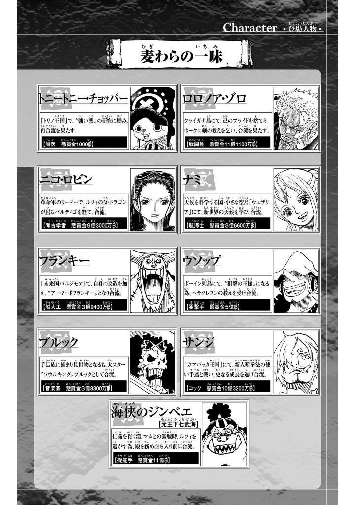 One Piece 107 (Japanese Edition)