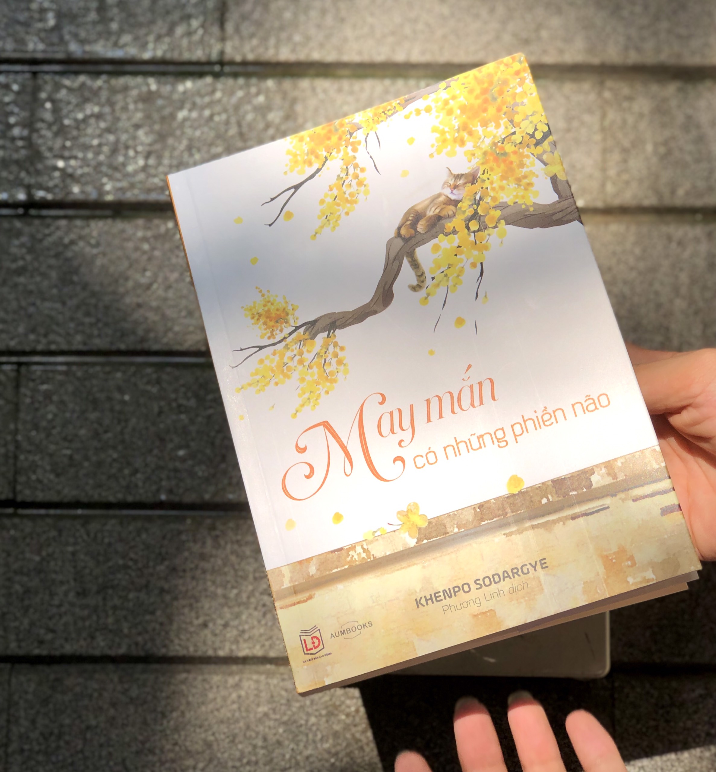 BỘ SÁCH "TIẾC" - Sách Tôn Giáo, Nghệ Thuật Và Văn Hóa, Tác Giả KHENPO SODARGYE - Á Châu Books, bìa mềm, in màu
