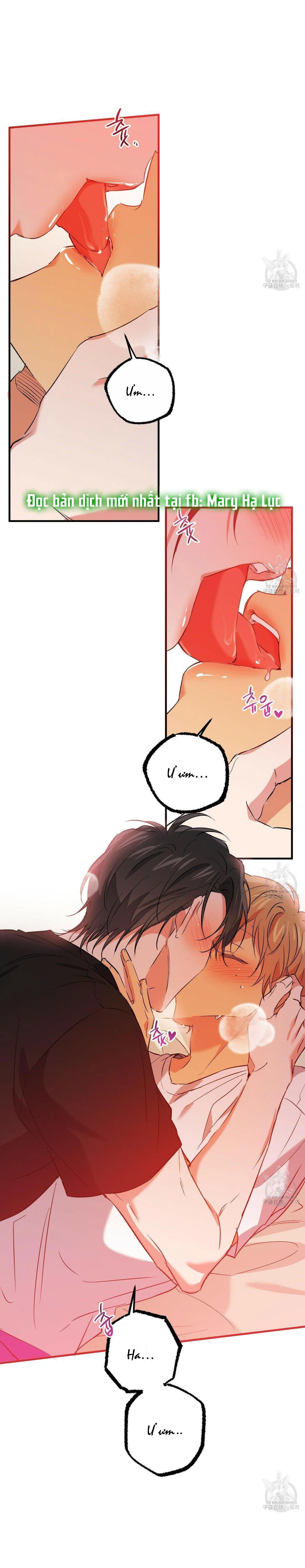 những chú thỏ của hapypy chapter 53.2 34