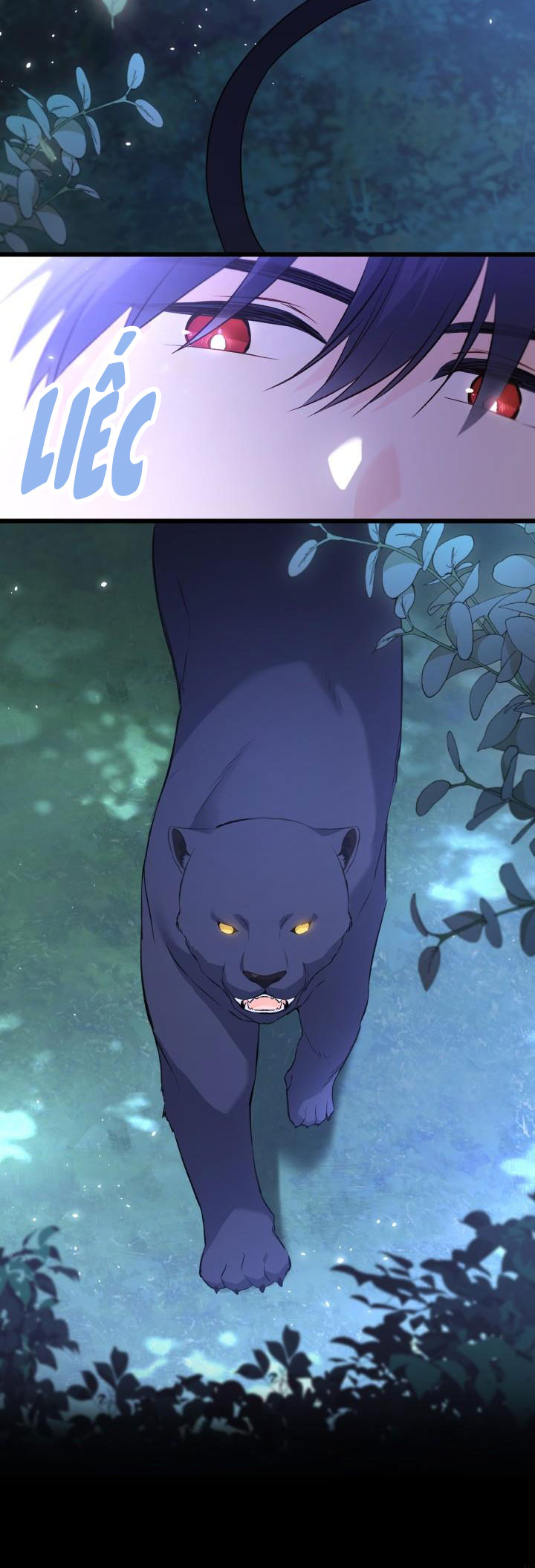 mối liên kết giữa báo đen và bé thỏ chapter 51 11