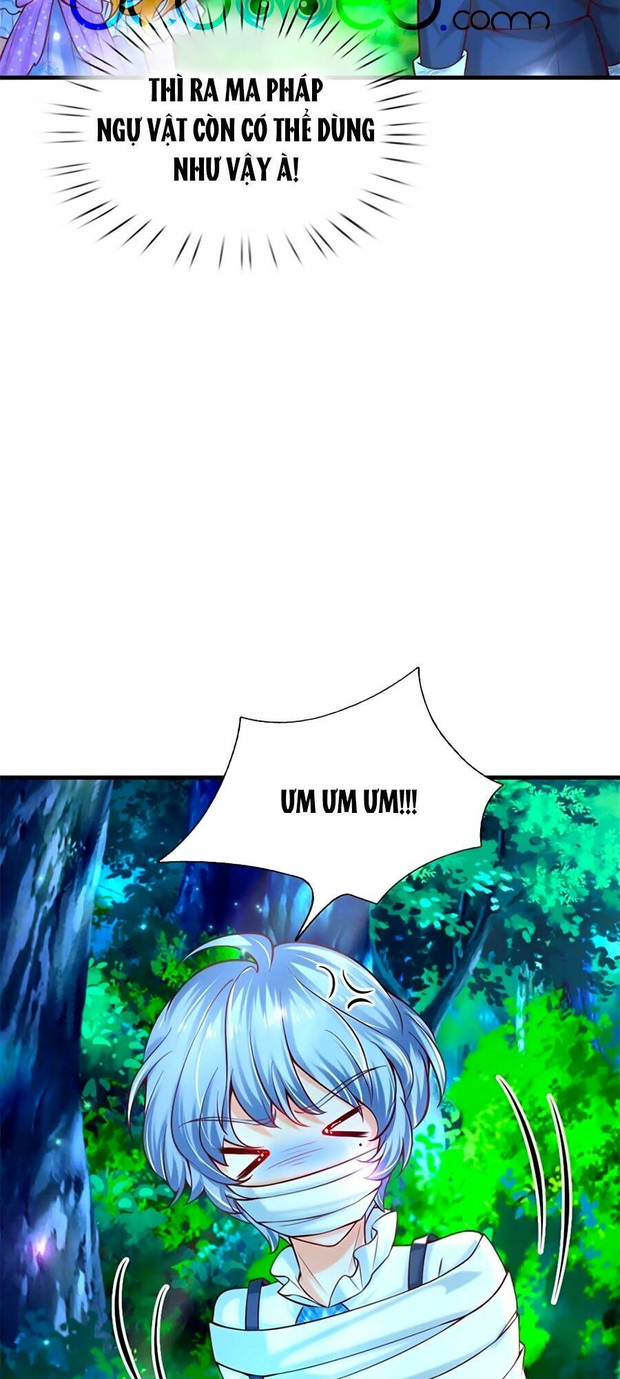 bỗng một ngày trở thành con gái nhà vua chapter 238 13