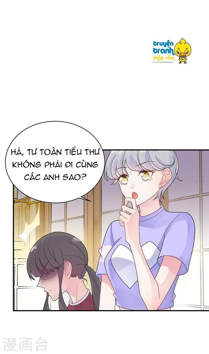 chọc tới chủ tịch tổng tài 2 chapter 63 15