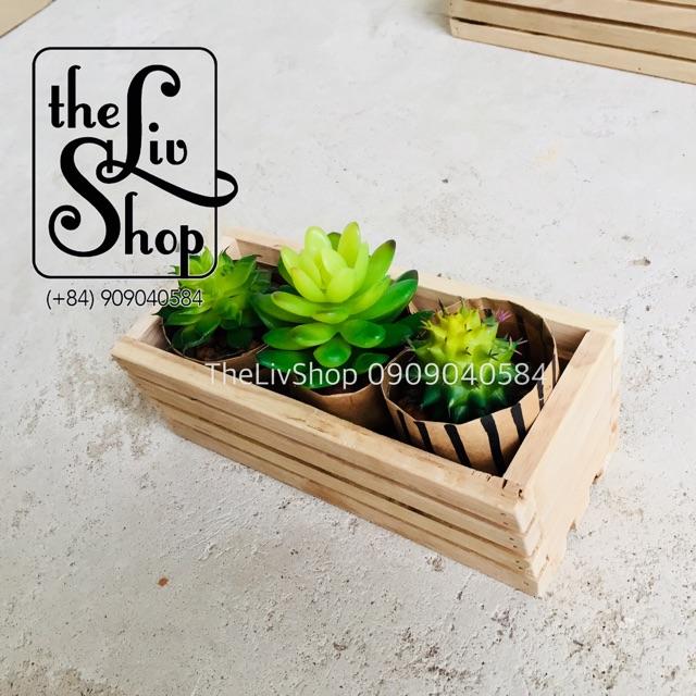 Chậu gỗ trồng cây