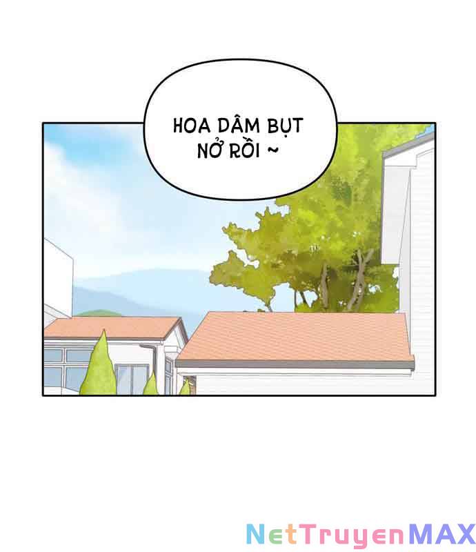 kiếp này cũng xin chăm sóc tôi như vậy nhé kiếp này cũng xin chăm sóc tôi như vậy nhé chapter 116 15