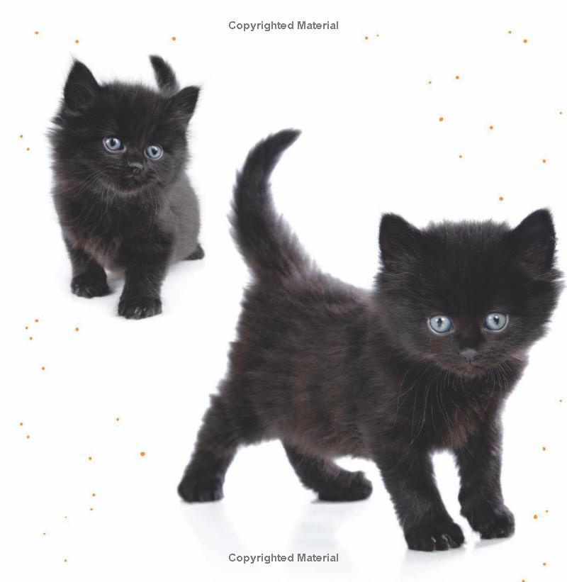 Sách ngoại văn: 1, 2, Let's Say Boo