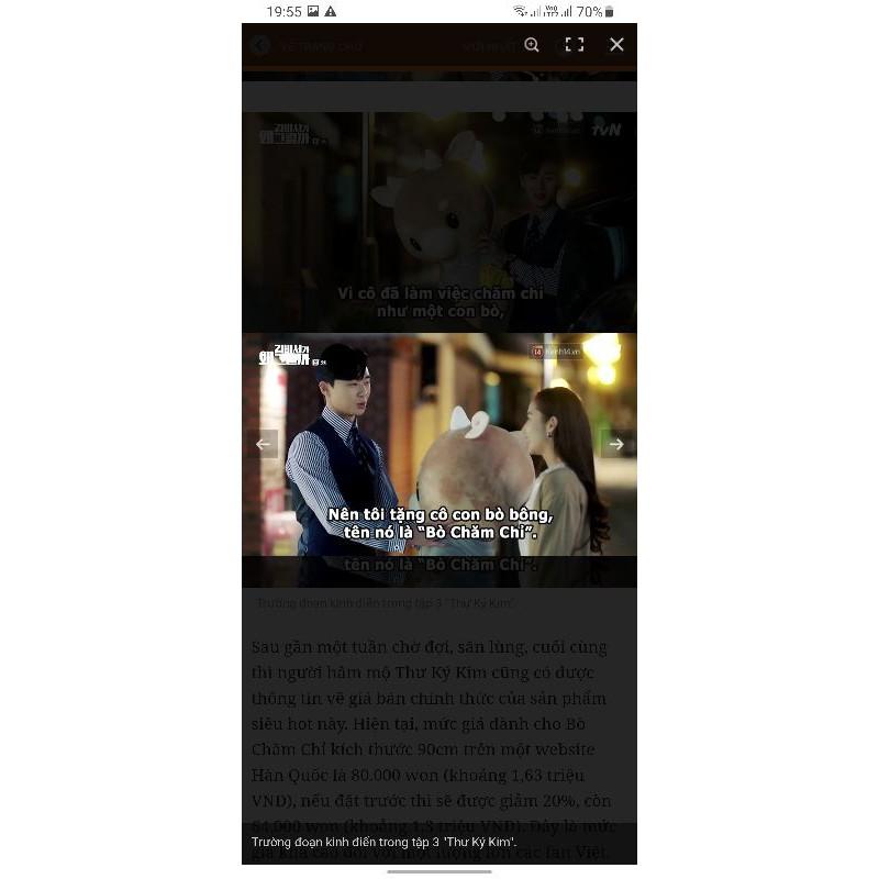 Gấu bông bò chăm chỉ