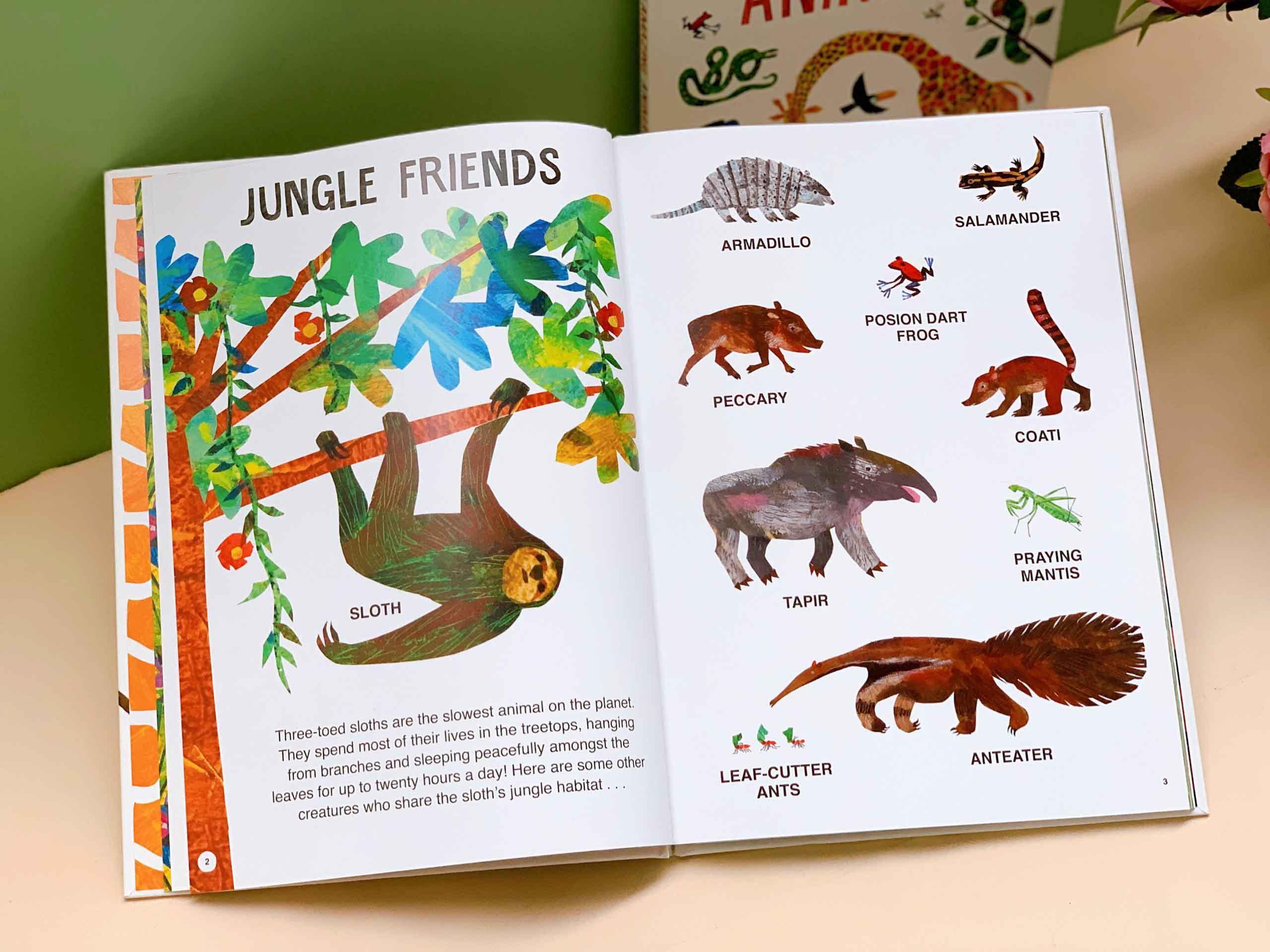 Eric Carle's Book of Amazing Animals