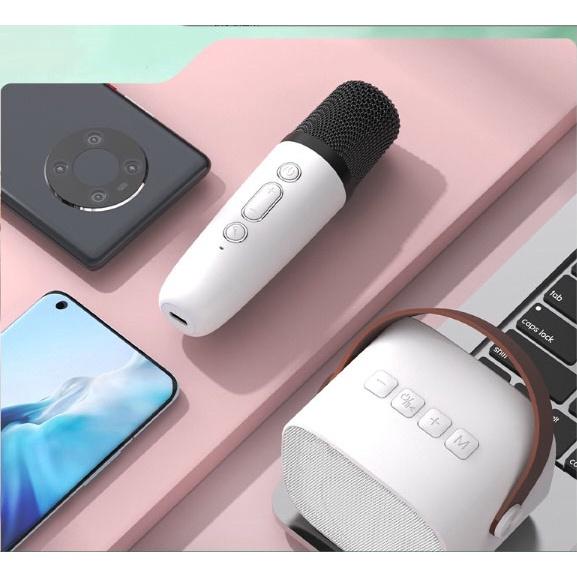 Bộ Micro loa bluetooth Karaoke Mini Ngoài Trời KTV Cardioid