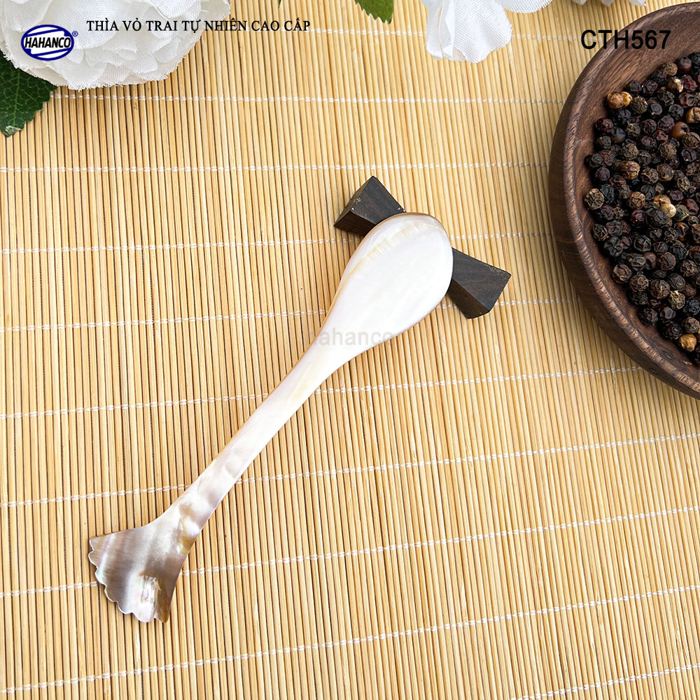 Muỗng Cà Phê Gia Vị Bằng Xà Cừ Tiêu Chuẩn Xuất Khẩu - HAHANCO - CTH567
