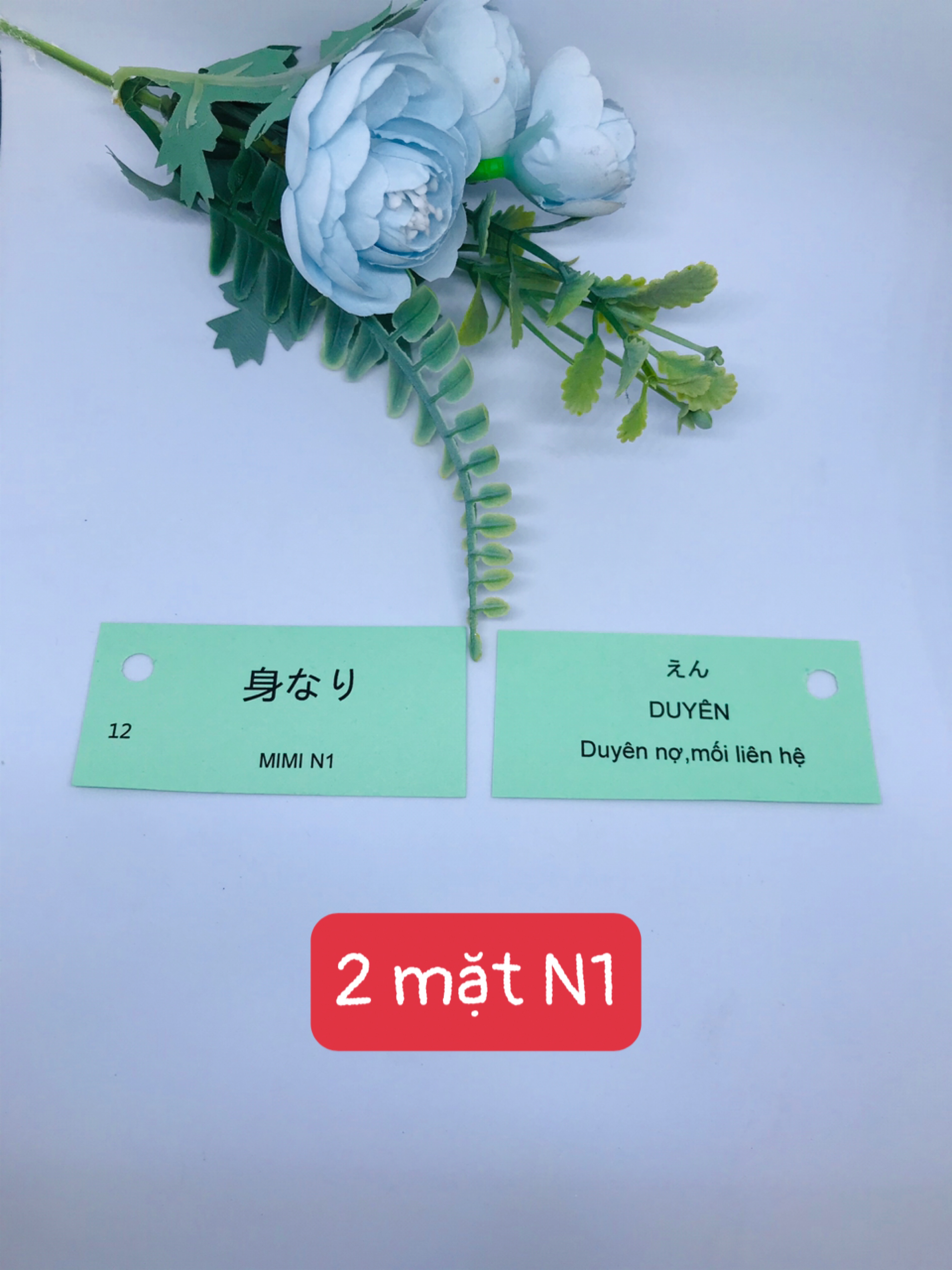 FLASHCARD TIẾNG NHẬT N1 MIMIKARA 1170 thẻ