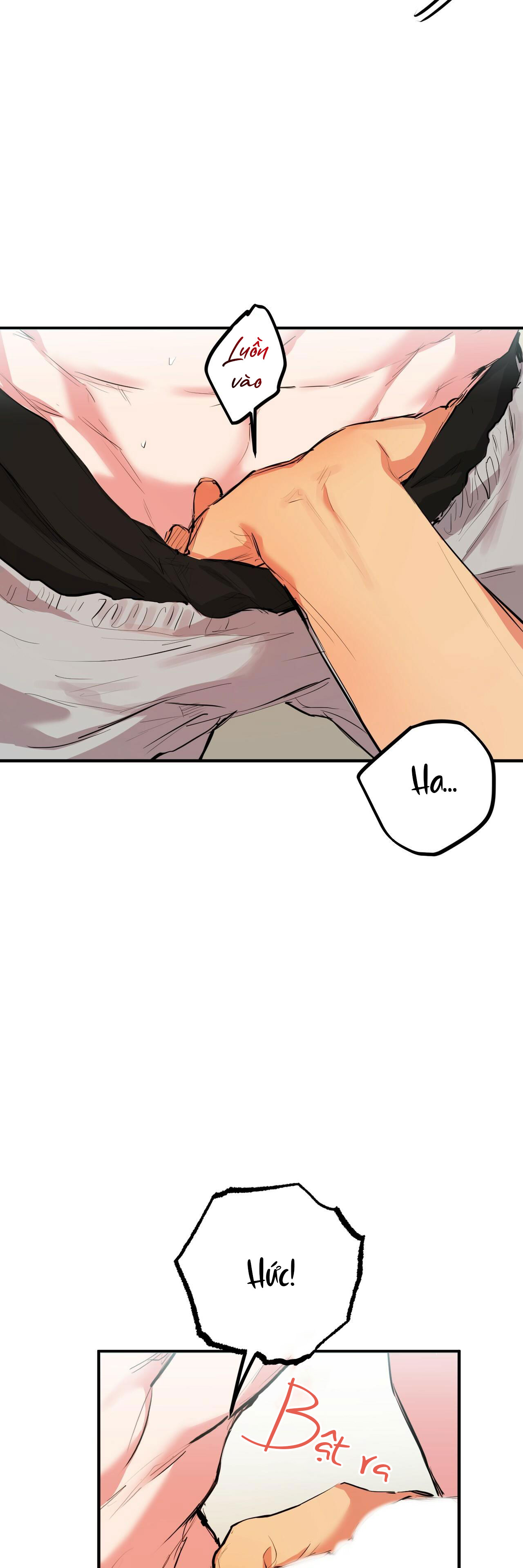 những chú thỏ của hapypy chapter 29 13