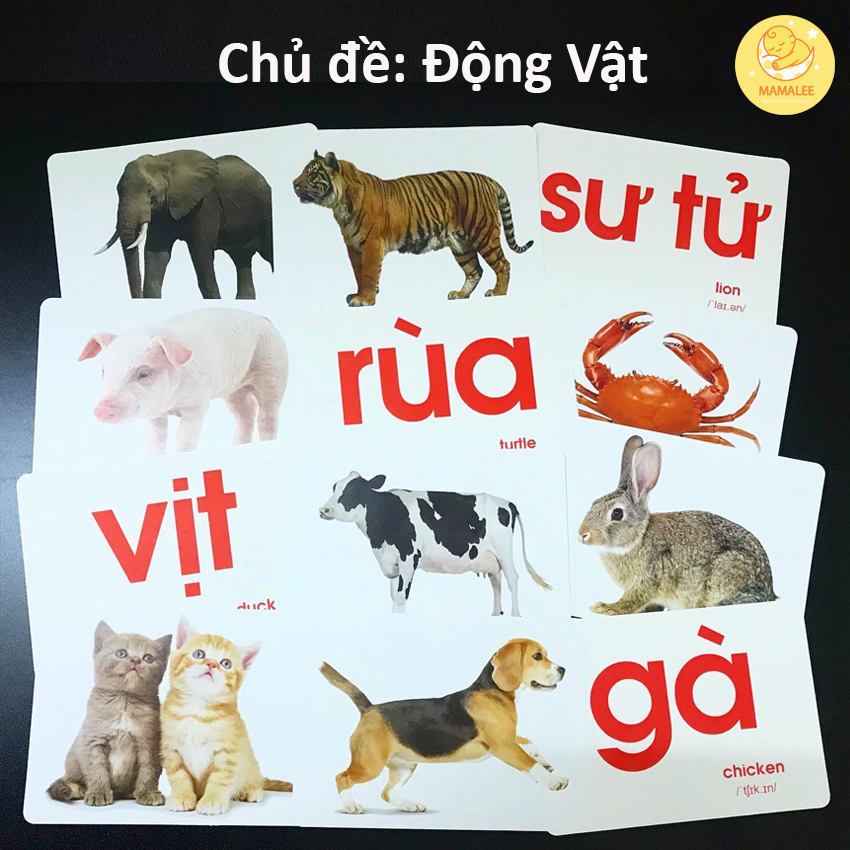 Bộ Thẻ Học Thông Minh Loại To Cứng A5 - Flash Card Dạy Bé Nhận Biết Thế Giới Xung Quanh Song Ngữ Anh Việt