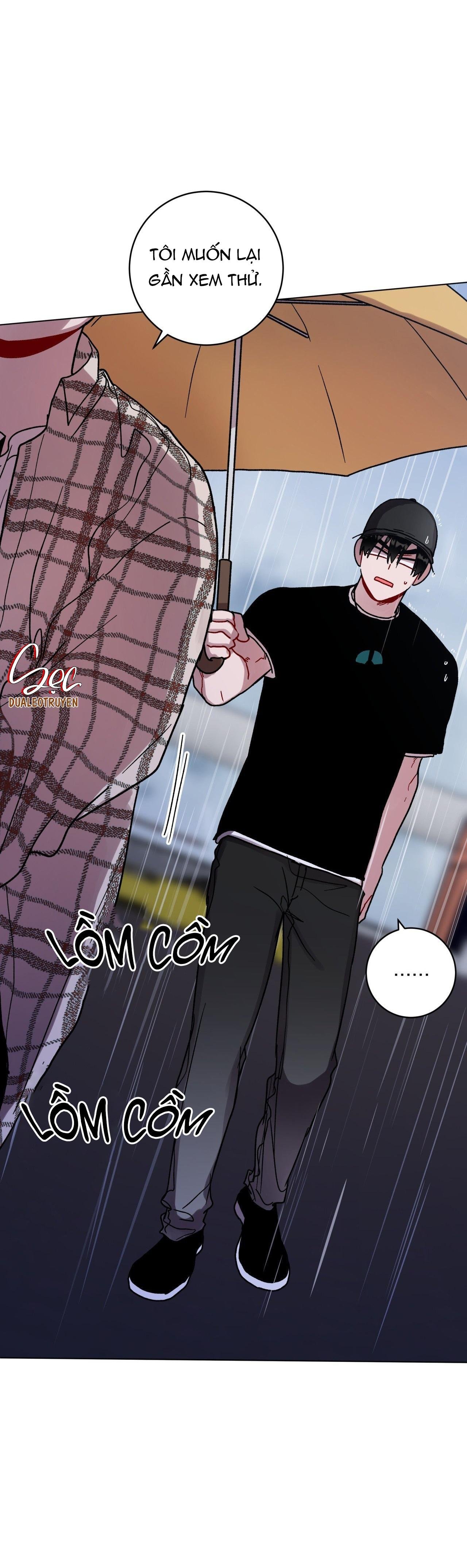 cơn mưa rào mùa hạ chapter 77 8