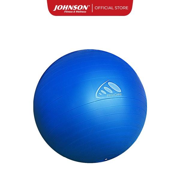 Bóng Hơi Tập Gym Tập Yoga Cao Cấp Johnson Fitness 65cm