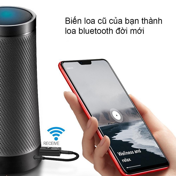 Thiết bị thu phát bluetooth 5.0 không dây hai chiều USB laptop PC ô tô phát nhạc D878 ( hàng nhập khẩu )